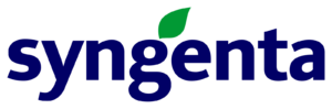 11 syngenta